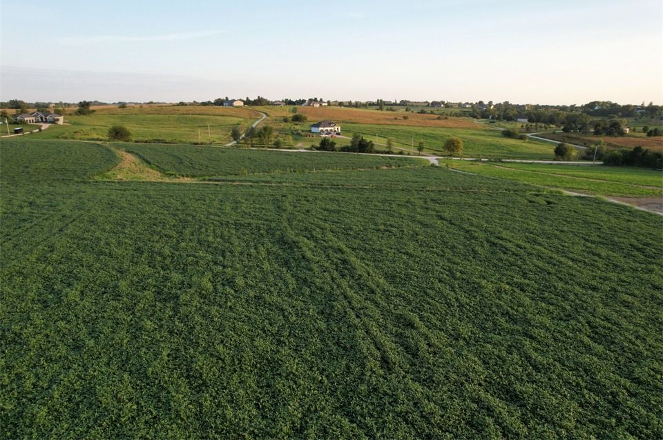 Listing Photo: Lot 2 - Drone Pic (14)